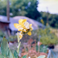 20161009 0628 Homelife 200 test ©JamesECockroft 0627