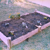 20161009 0629 Homelife 200 test ©JamesECockroft 0631