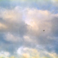 20161014 1750 Weekly Roll wk 1 neighborhood walk ©JamesECockroft 0696