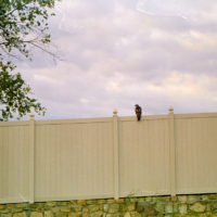 20161014 1751 Weekly Roll wk 1 neighborhood walk ©JamesECockroft 0698 1