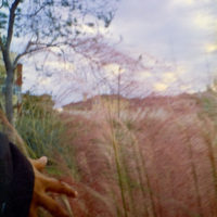 20161014 1751 Weekly Roll wk 1 neighborhood walk ©JamesECockroft 0702