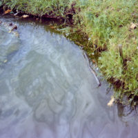 20161015 1414 Quickie Neighborhood Walk ©JamesECockroft 0752