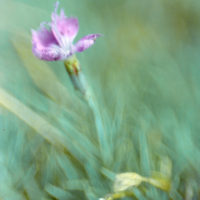 20161015 1416 Quickie Neighborhood Walk ©JamesECockroft 0759