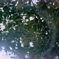 20161015 1422 Quickie Neighborhood Walk ©JamesECockroft 0771