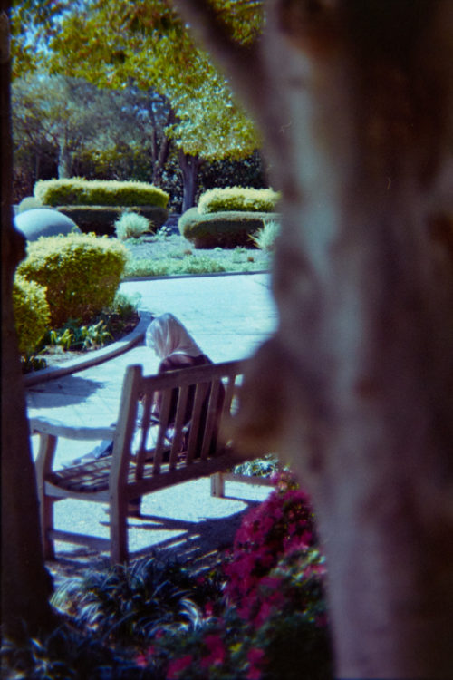 Hanabibti - Dallas, TX 2015