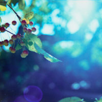 20150830 132832 Eureka Springfield Chicago Memphis 934 ©2015 JamesECockroft