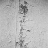 20161022 2033 wk 2 Lomo LC A Sunny 16 test ©JamesECockroft 0785