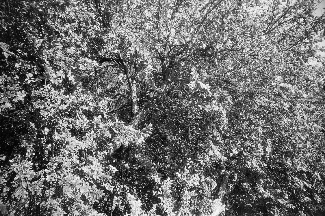 1/60 at f/11