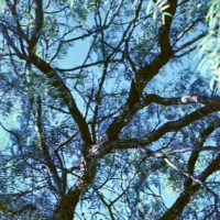 20161029 1657 XProd Walk ©JamesECockroft 0897