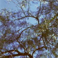 20161029 1657 XProd Walk ©JamesECockroft 0899