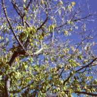 20161029 1657 XProd Walk ©JamesECockroft 0901