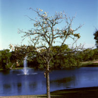 20161029 1658 XProd Walk ©JamesECockroft 0903