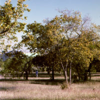 20161029 1659 XProd Walk ©JamesECockroft 0907