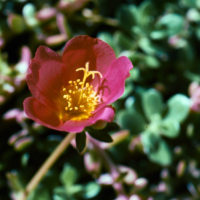 20161029 1659 XProd Walk ©JamesECockroft 0909