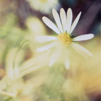 20161029 1703 Weekly Roll 3 Macro ©JamesECockroft 0920