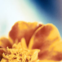 20161029 1704 Weekly Roll 3 Macro ©JamesECockroft 0923