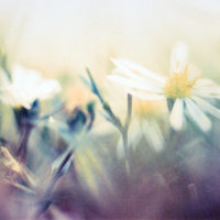 20161029 1704 Weekly Roll 3 Macro ©JamesECockroft 0924