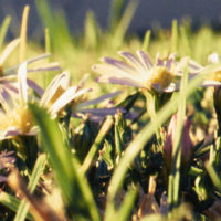 20161029 1706 Weekly Roll 3 Macro ©JamesECockroft 0927