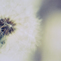 20161029 1709 Weekly Roll 3 Macro ©JamesECockroft 0939