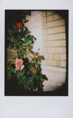 20161105 1353 week 4 Instax 4 Random last 4 ©JamesECockroft 2 1