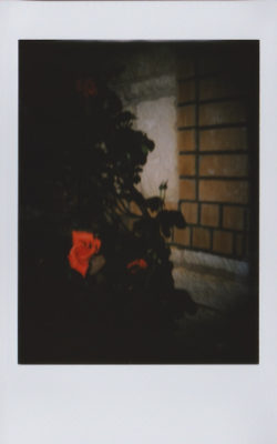 20161105 1353 week 4 Instax 4 Random last 4 ©JamesECockroft 2