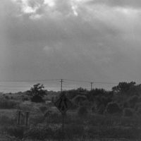 20161112 1831 Weekly Roll 5 FP4Party November ©JamesECockroft 1115 1