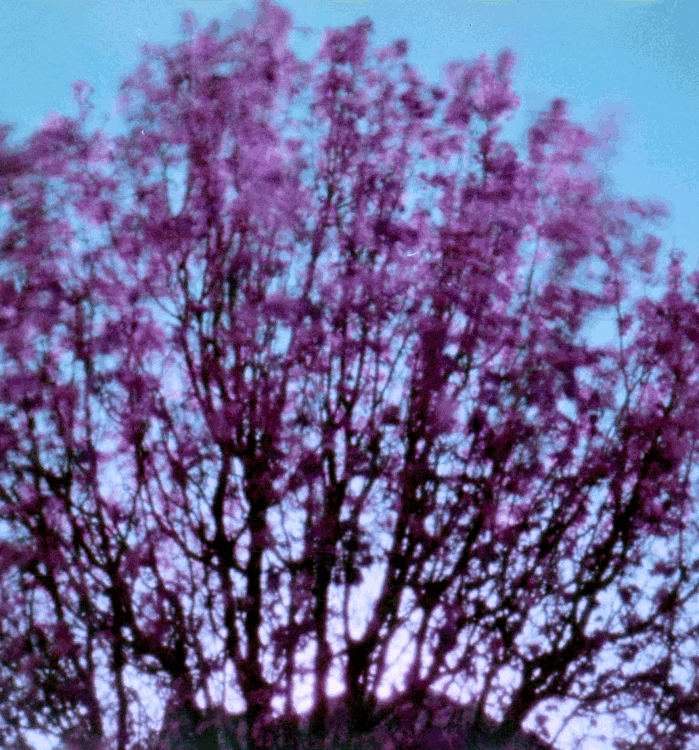 20210417-165047-35mm-square-minuta-stereo-©jameseccockroft-2021-2458-2