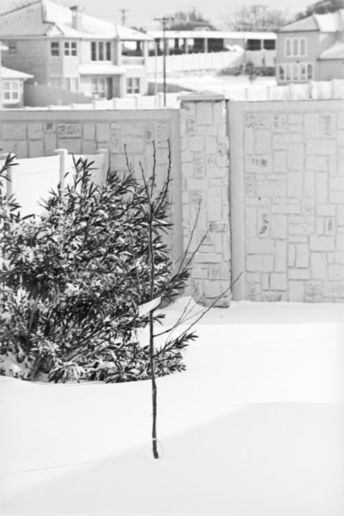 battle-of-the-75-150s-nikon-3