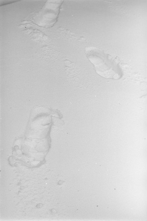 battle-of-the-75-150s-nikon-4