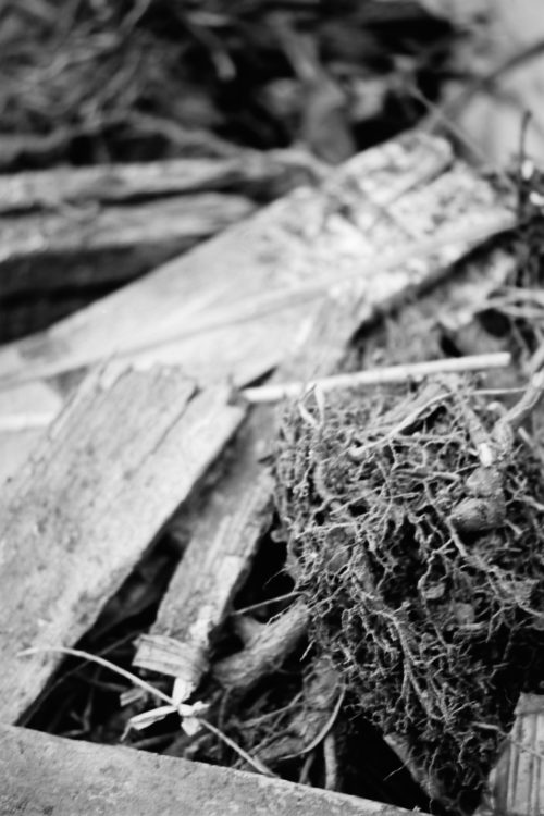 battle-of-the-75-150s-nikon-5