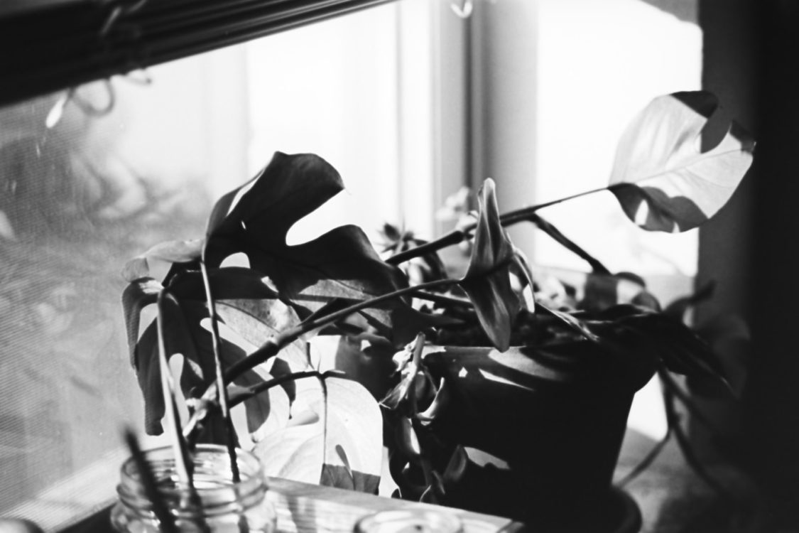 battle-of-the-75-150s-nikon-8