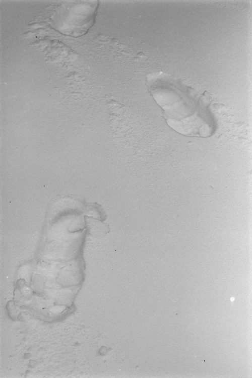 battle-of-the-75-150s-olympus-4