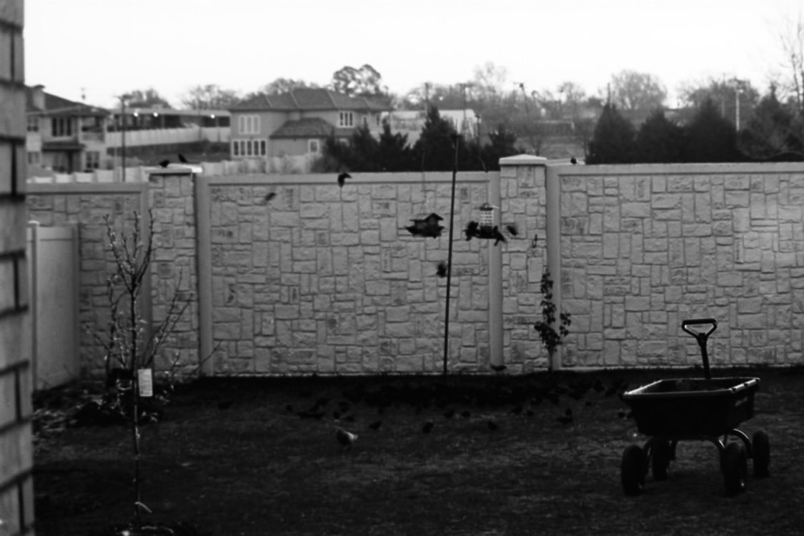 battle-of-the-75-150s-olympus-redo-2394