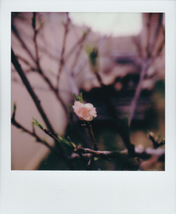 color-600-vs-itype-1