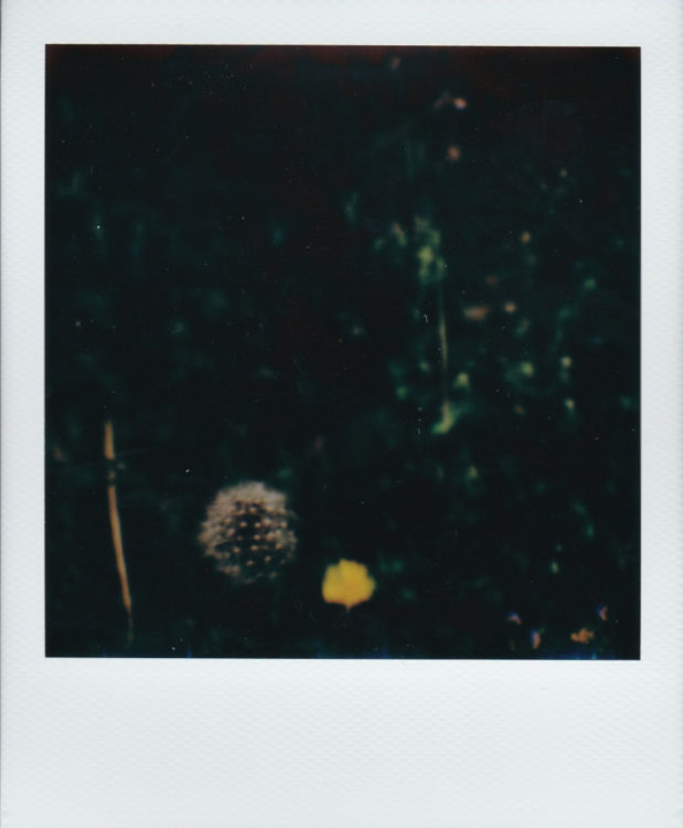 color-600-vs-itype-3