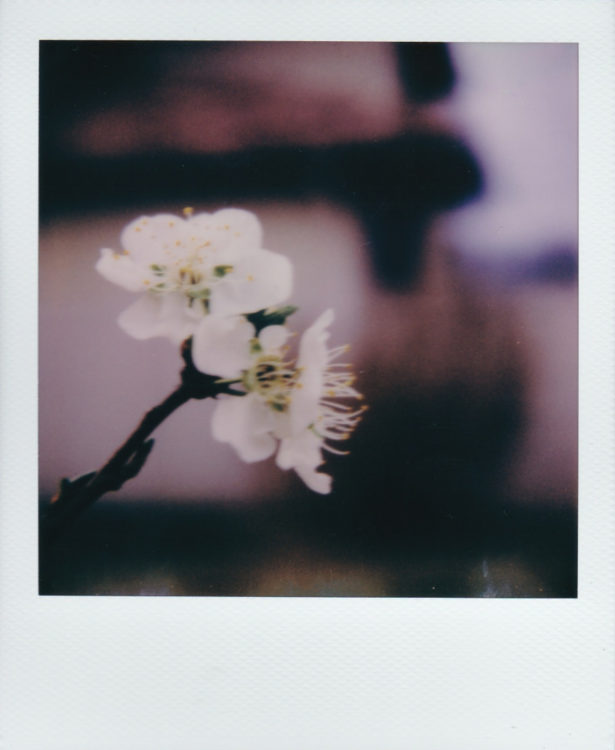 color-600-vs-itype-4