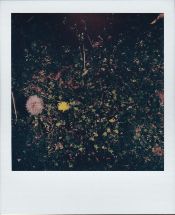 color-itype-vs-600-2