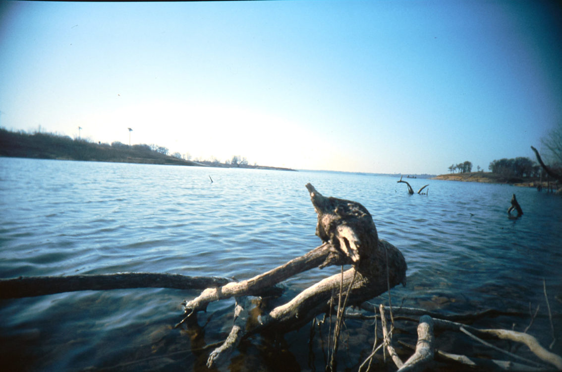 20210502-070223-what-was-i-thinking-vivitar-uws-©jameseccockroft-2021-2719-1