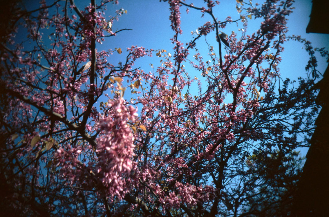 20210502-070414-what-was-i-thinking-vivitar-uws-©jameseccockroft-2021-2732