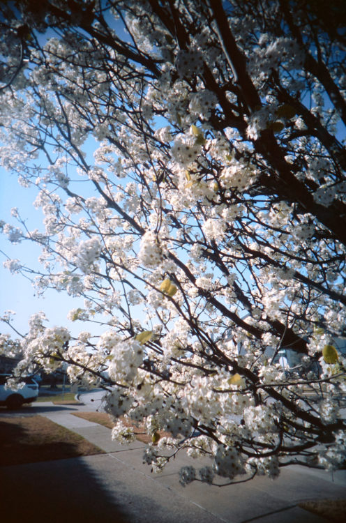 20210502-070442-what-was-i-thinking-vivitar-uws-©jameseccockroft-2021-2736