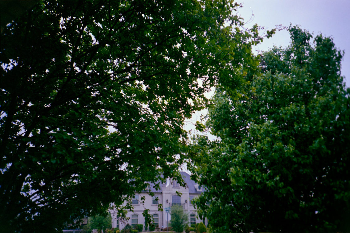 another-new-lc-a-109-rain-and-trees