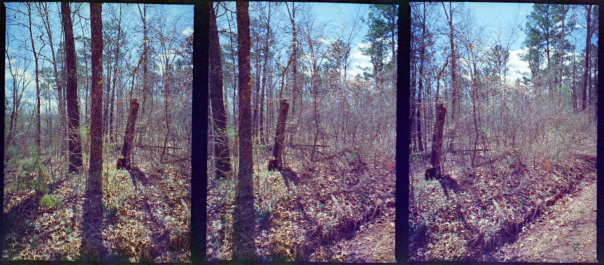 ar-spring-2021-panos-lc-wide155