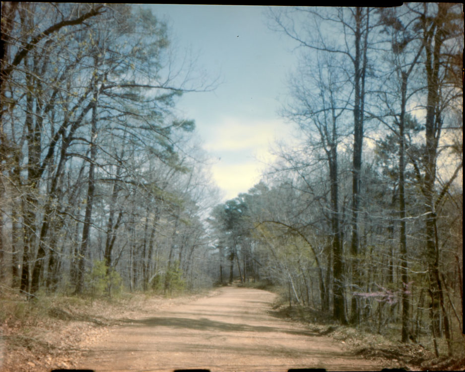 ar-spring-2021-pinhole-4x5157-2