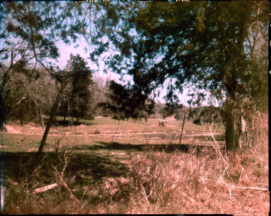 ar-spring-2021-pinhole-4x5165-1