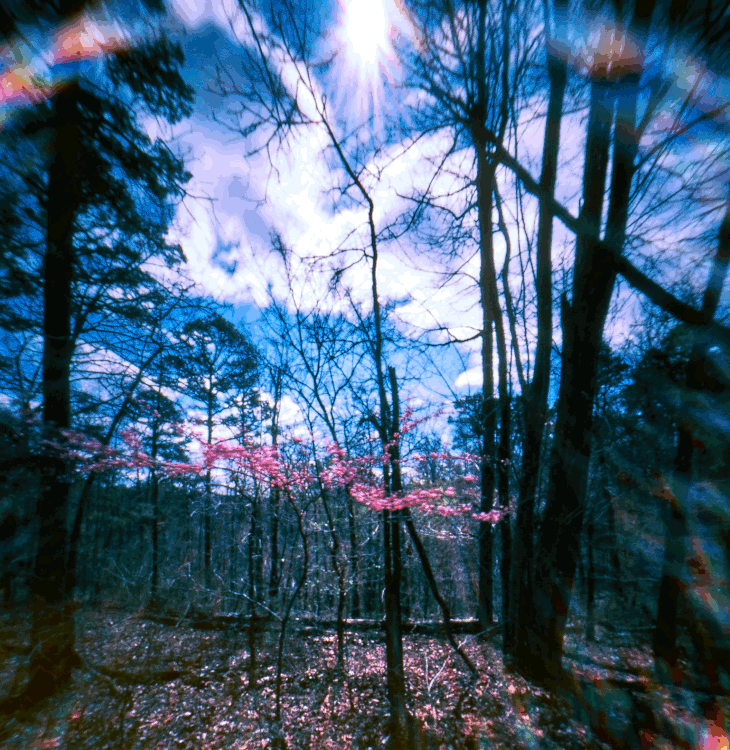 ar-spring-2021-pinholes-minuta-1