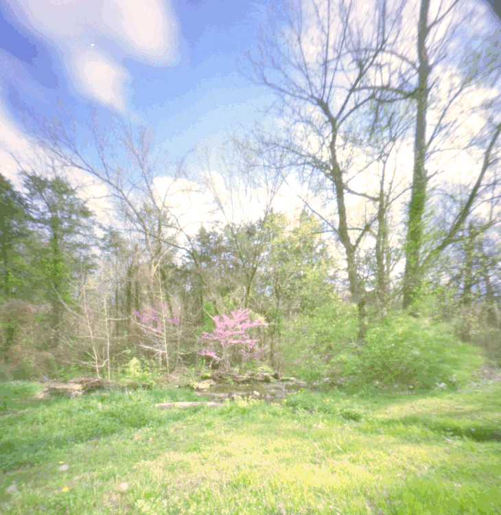 ar-spring-2021-pinholes-minuta-10