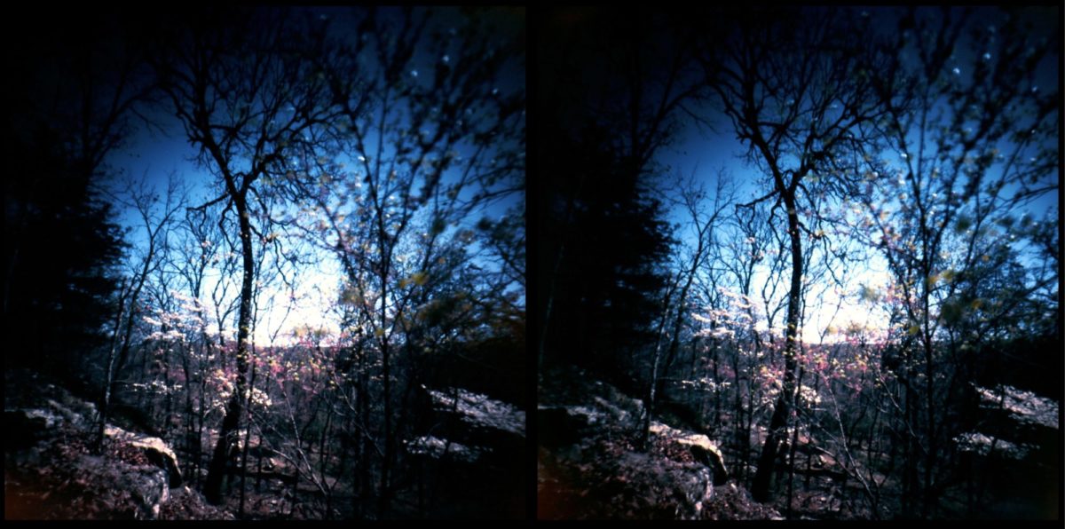 ar-spring-21-minuta-2