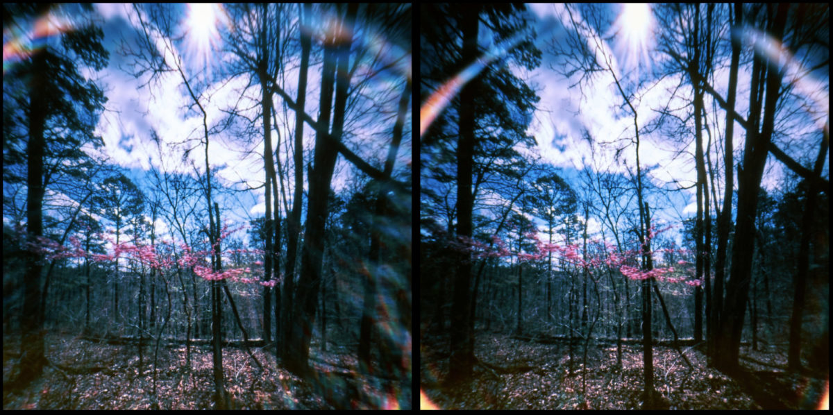 ar-spring-21-pinhole-minuta-1