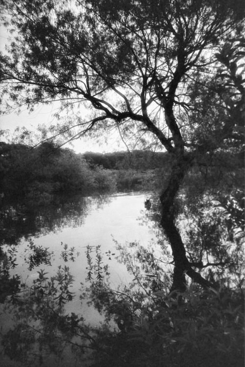 Flooding-Washi-F-Lomo-LC-A-2