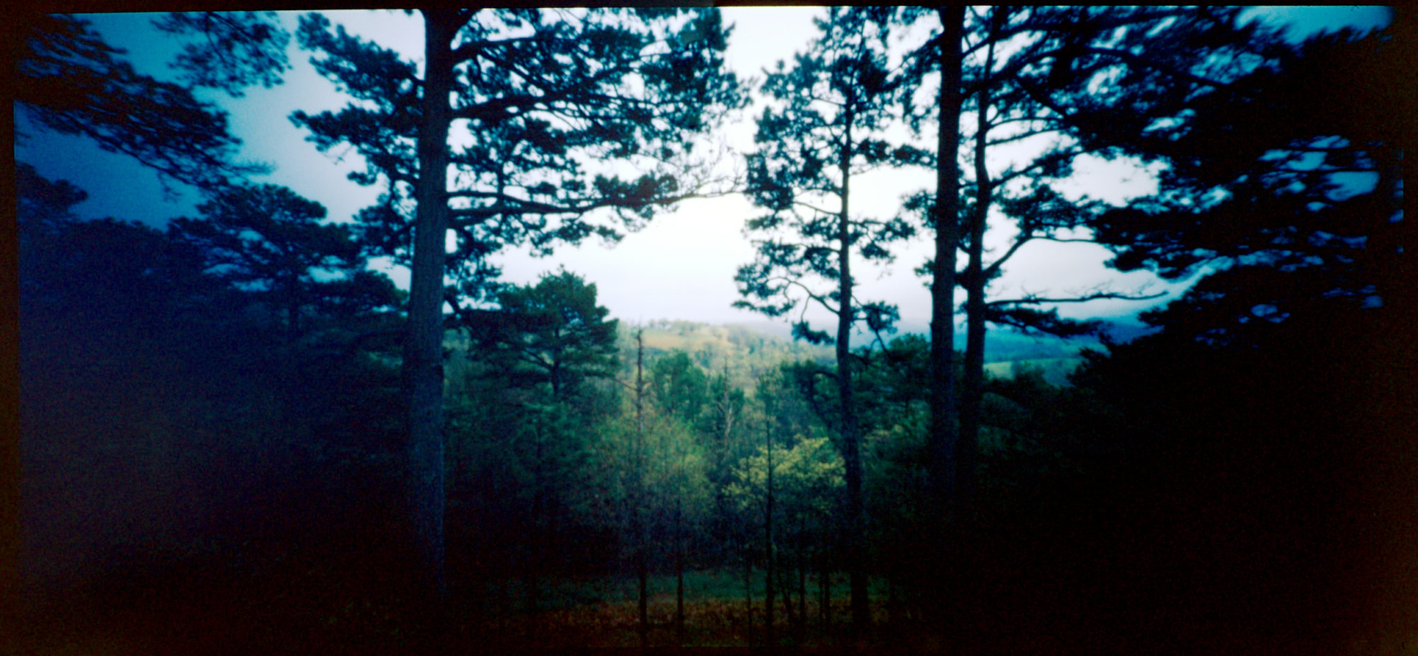 ar-spring-2021-holgawpc248